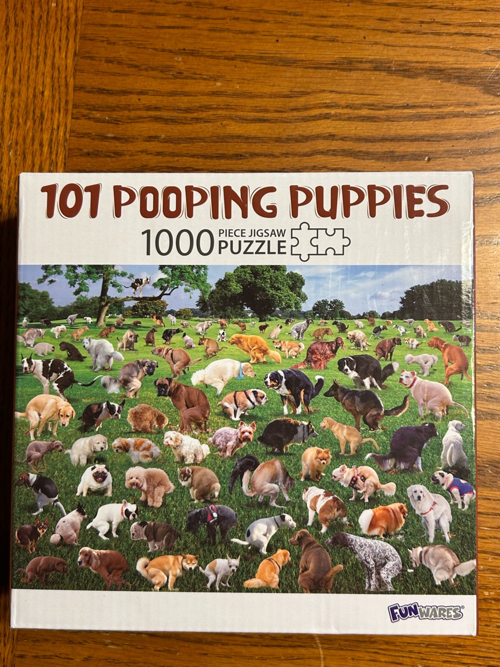 101 Pooping Puppies 1000-Piece Jigsaw Puzzle - Colorful Puppies